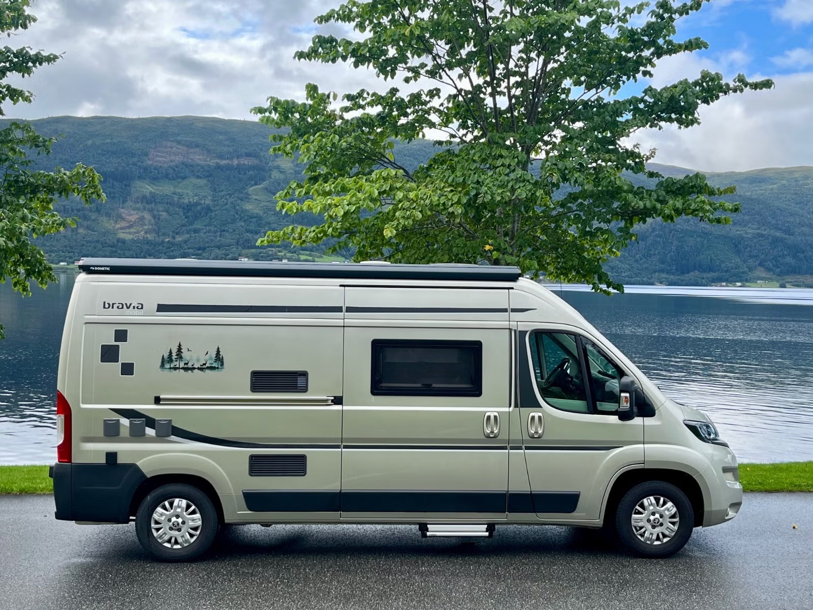 BRAVIA SWAN 599 - Image 6